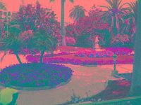 IMGP2828 edited (Medium)